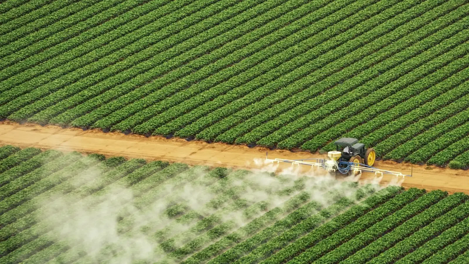 231107-field-report-pesticides-farm-bill-congress-fifra-chlorpyrifos-glyphosate-1-top-farm-field_1600x900
